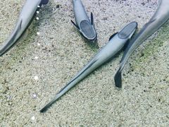 -鸿通城购物中心