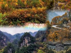 -三峡人家风景区
