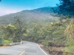 -九鲤湖风景区