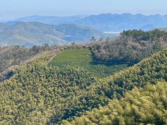 -莫干山风景区