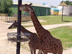 -鄂尔多斯野生动物园