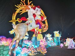 -武汉园博园(武汉自然博物馆)