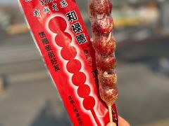 -和禄德冰糖葫芦