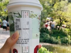 -茶颜悦色(岳麓山顶店)