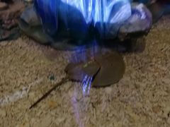 -琴岛之星摩天轮