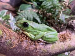 -正佳雨林生态植物园