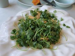 -惠丰堂饭庄·烤鸭·京味菜(西北旺·唐家岭店)