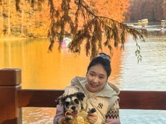 -上海海湾国家森林公园