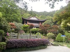 -十八棵（老龙井）御茶园(老龙井店)