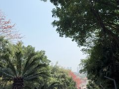 -青礁慈济宫