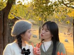 -泉州海丝野生动物世界