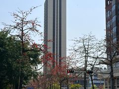 -小南山公园