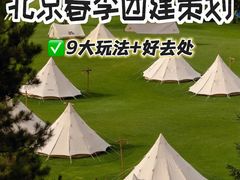 -桔子文创·企业团建·活动策划·拓展会议