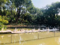-广州长隆飞鸟乐园
