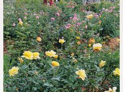 -人民公园(罗湖区)