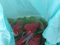 -果多美(三里河店)