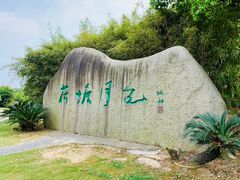 -荷塘月色湿地公园·向阳花洲