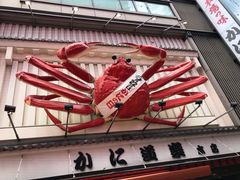 -蟹道乐(道顿堀本店)