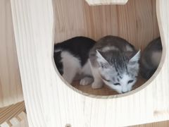 -刘家大院餐厅