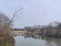 -南湖湿地公园