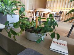 -Bracket Coffee(工体店)