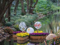 -上海共青森林公园