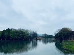 -长广溪湿地公园