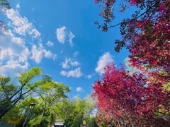 -沈阳植物园