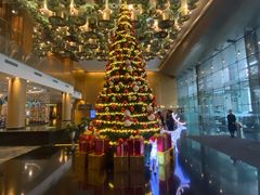 -海尔洲际酒店天下一品中餐厅