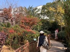 -绳金塔