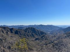 -大岭沟猕猴桃谷风景区