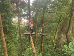 -芦仙山景区-飞越丛林探险乐园