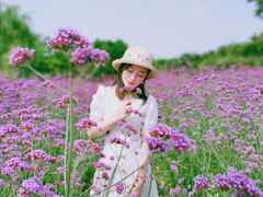 -鹅湖玫瑰文化园