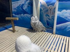 -成都浩海立方海洋公园