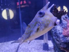 -太平洋海底世界