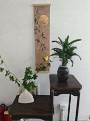 -寇氏减肥