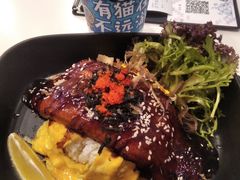 -猫儿山۰猫主题餐厅