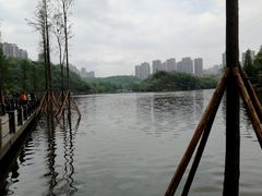 -重庆彩云湖湿地公园