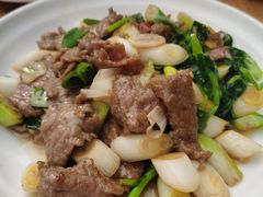 -曾牛肉
