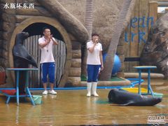 -秦皇岛乐岛海洋王国