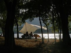-长广溪湿地公园