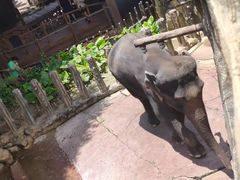 -长鹿旅游休博园