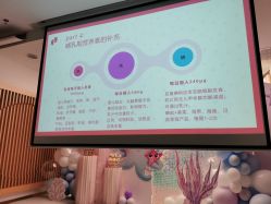 -添囍月子会所