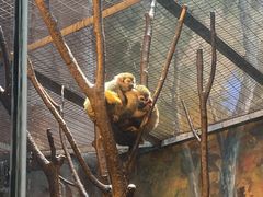 -泉城欧乐堡海洋极地世界