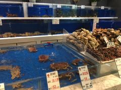水产区-宝轩渔府·老字号海鲜·正宗津菜(水上店)