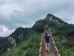 -大岭沟猕猴桃谷风景区