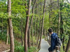 -铁山坪森林公园