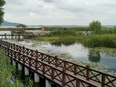 -苏州太湖湖滨国家湿地公园