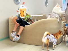 -怪兽屋·羊驼·猫咖·狗咖(俊华广场店)