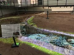 -南越王博物院(王宫展区)